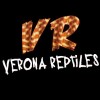 Verona Reptiles - Italy
